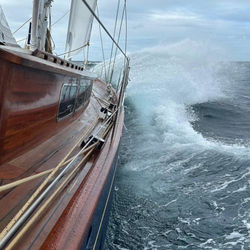 Connaissances approfondies en matière de navigation, combinées à d'excellentes compétences en gestion de projet